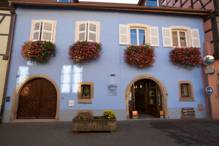 Eguisheim - 160